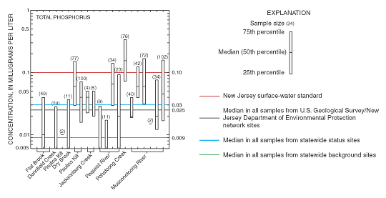 Boxplots showing distribution of total phosphorus concentrations in samples from 21 USGS/NJDEP network sites, and median concentrations in all samples from Statewide status and Statewide background sites.
