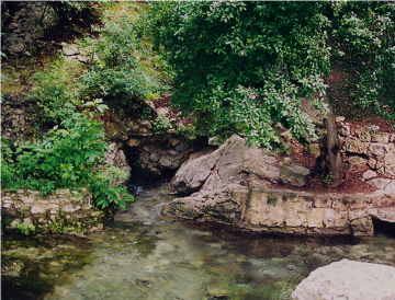 Main orifice of Comal Springs, which provides habitat for threatened and endangered aquatic species.