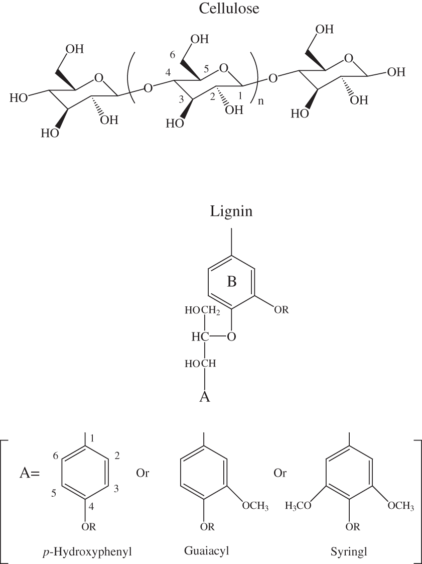 Chemical structures of cellulose and lignin monomeric units.