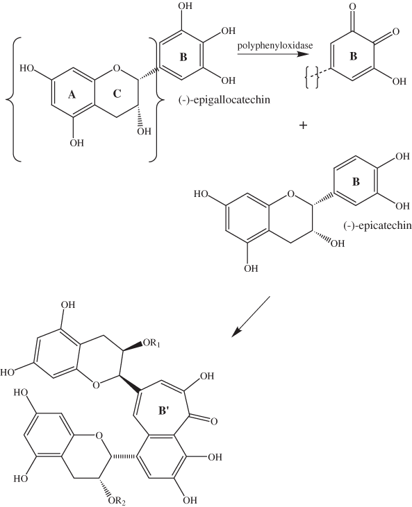 Formation of benzotropolone rings