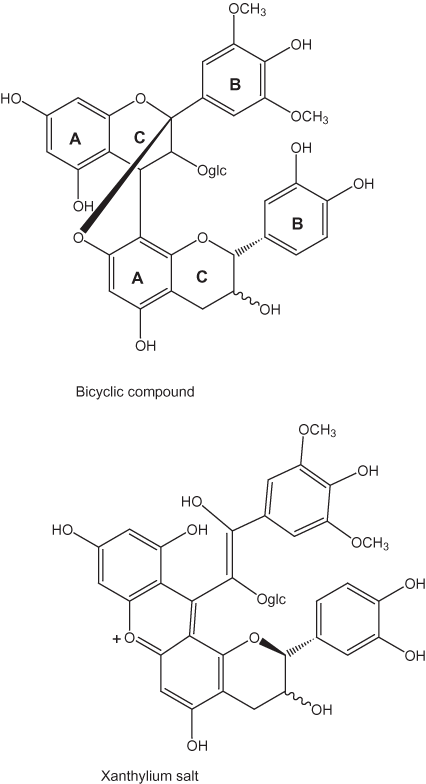 Bicyclic and xythylium salt forms