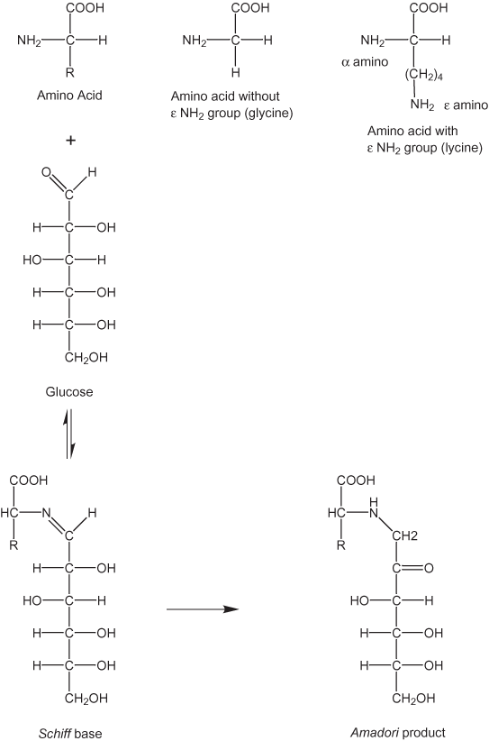First steps in browning reactions