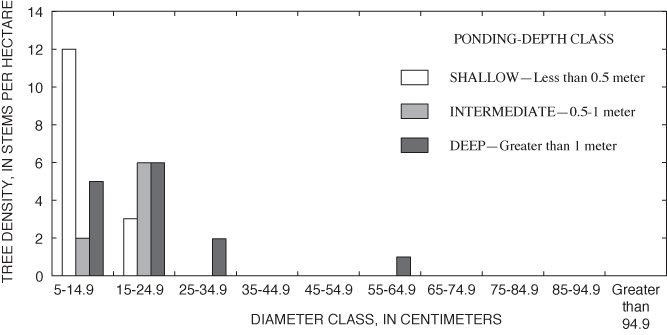 Figure 13. Size-class distribution of adult river birch in a 2.3-hectare area of Sinking Pond by ponding-depth class.