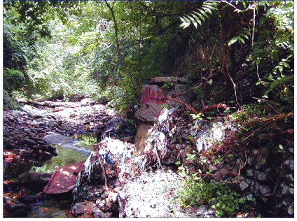 An urban stream impacted by wastewater leaking from deteriorating sewer lines at Maidens Choice Run upstream from USGS stream-gaging station 0158935, Baltimore, Maryland. [Photo by Gary T. Fisher, U.S. Geological Survey] (Click to view larger image.)