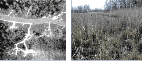 Thermal-infrared image (left) and still photograph of a seep in a wetland at Aberdeen Proving Ground, Maryland. The total length of this seep is about 80 feet. [Thermal-infrared image and photo by J. Aguiar, Aberdeen Proving Ground International Center, Aberdeen, Maryland] (Click to view larger image.)