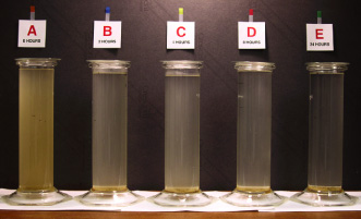 Photo of cylinders containing subsamples of water that has been standing for various amounts of time. Caption explains photo and graph.