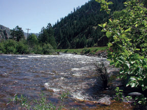 The Cache la Poudre River