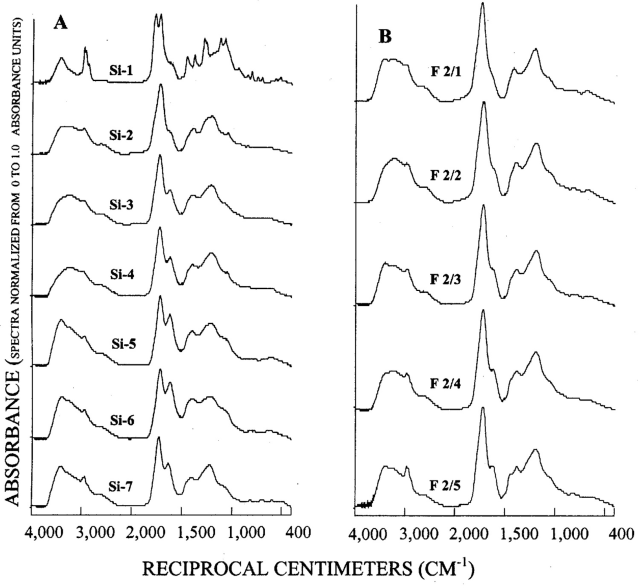 Graphs showing infrared spectra of subfractions recovered