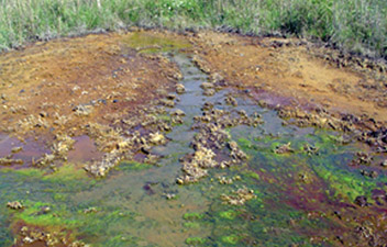 Photo 1 shows a seep at the Rehoboth reclamation site.